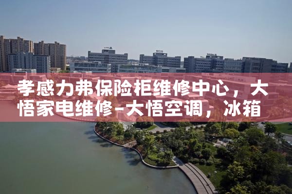 孝感力弗保险柜维修中心