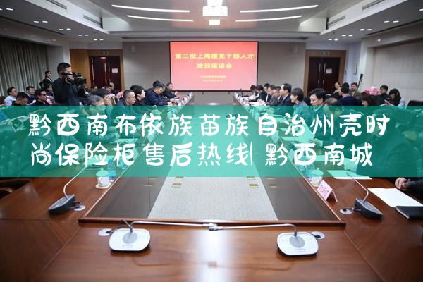 黔西南布依族苗族自治州壳时尚保险柜售后热线