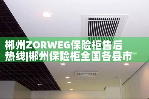 郴州ZORWEG保险柜售后热线